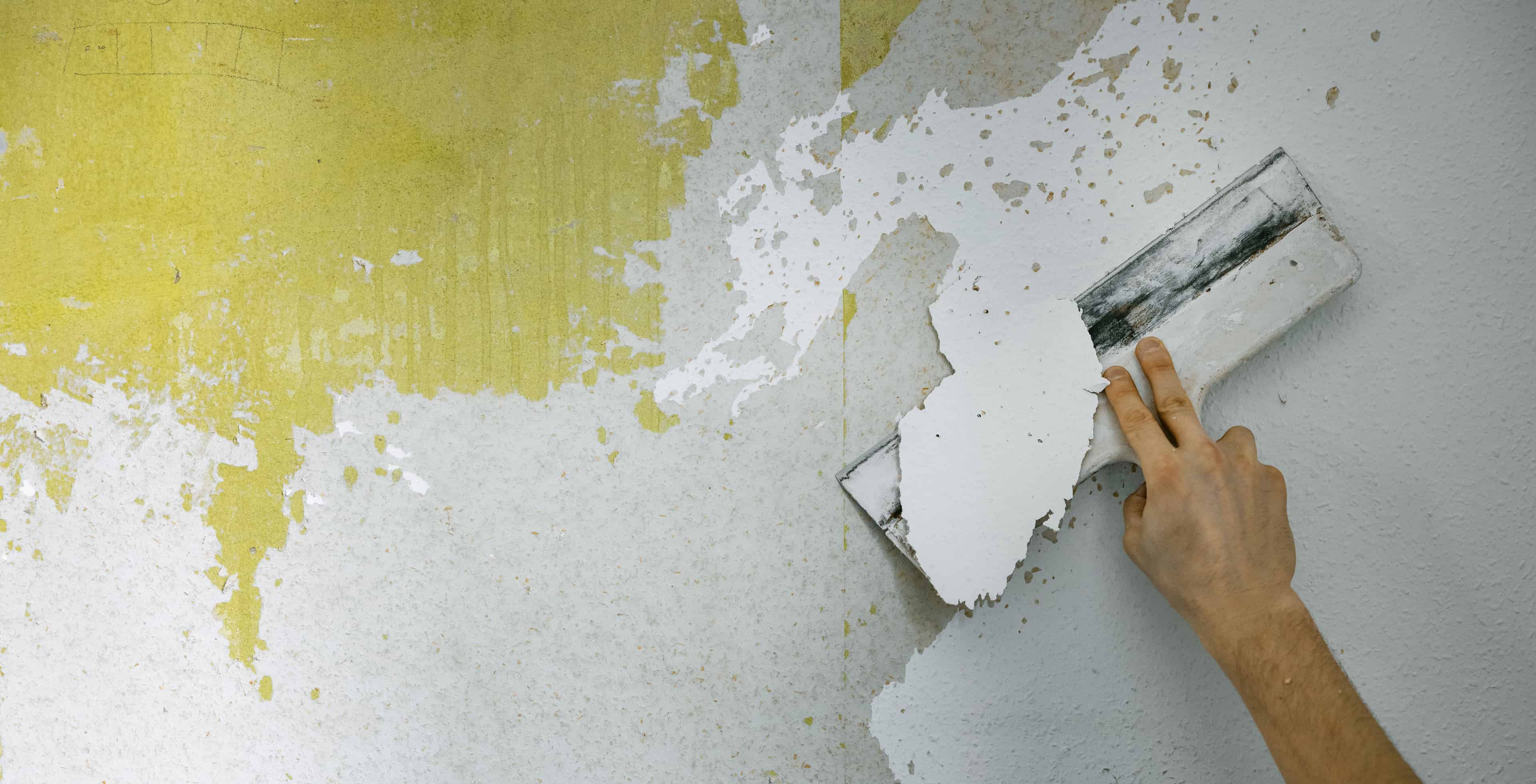 Interior Tear-Outs image