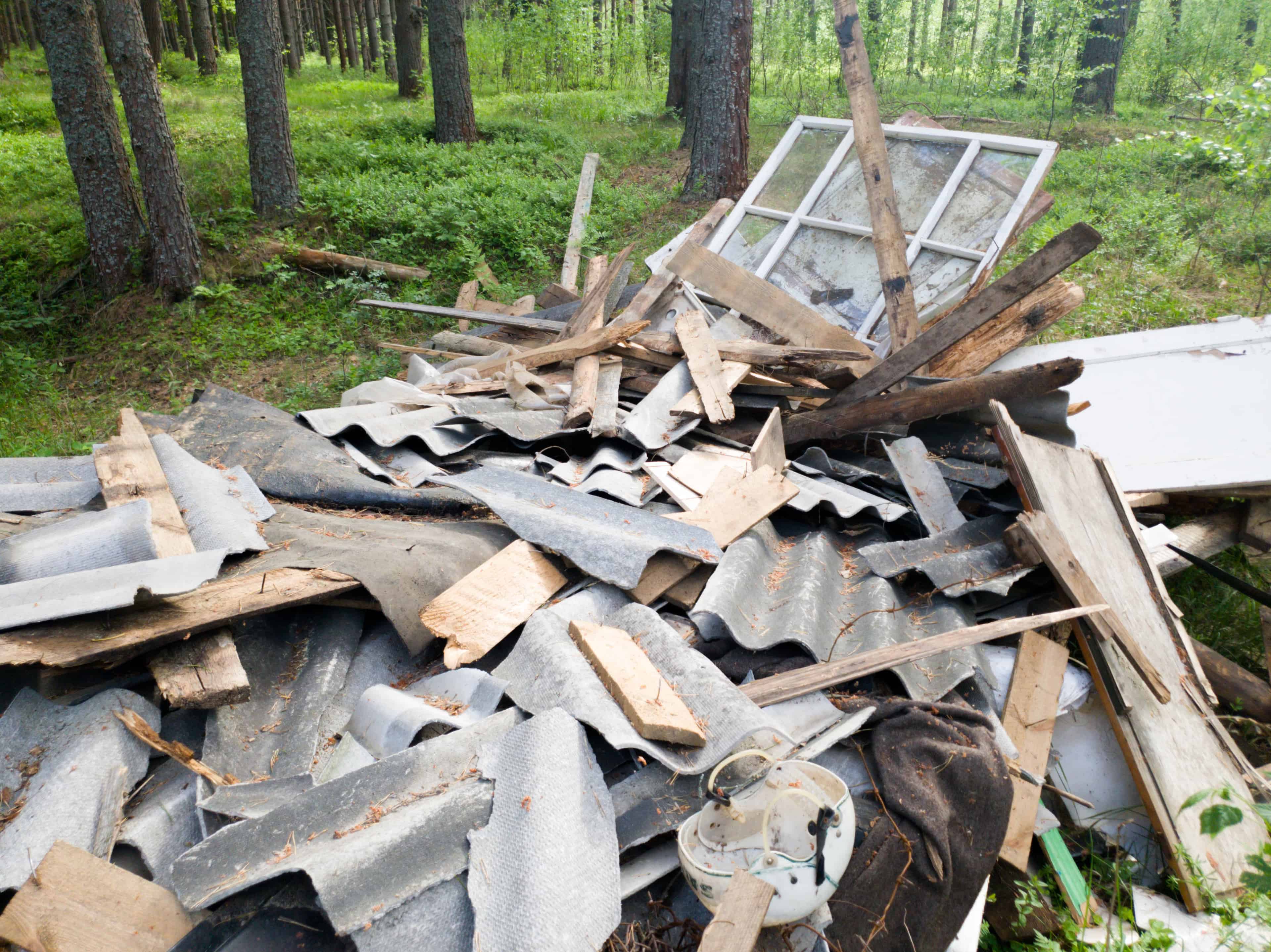 Shed & Deck Removal image