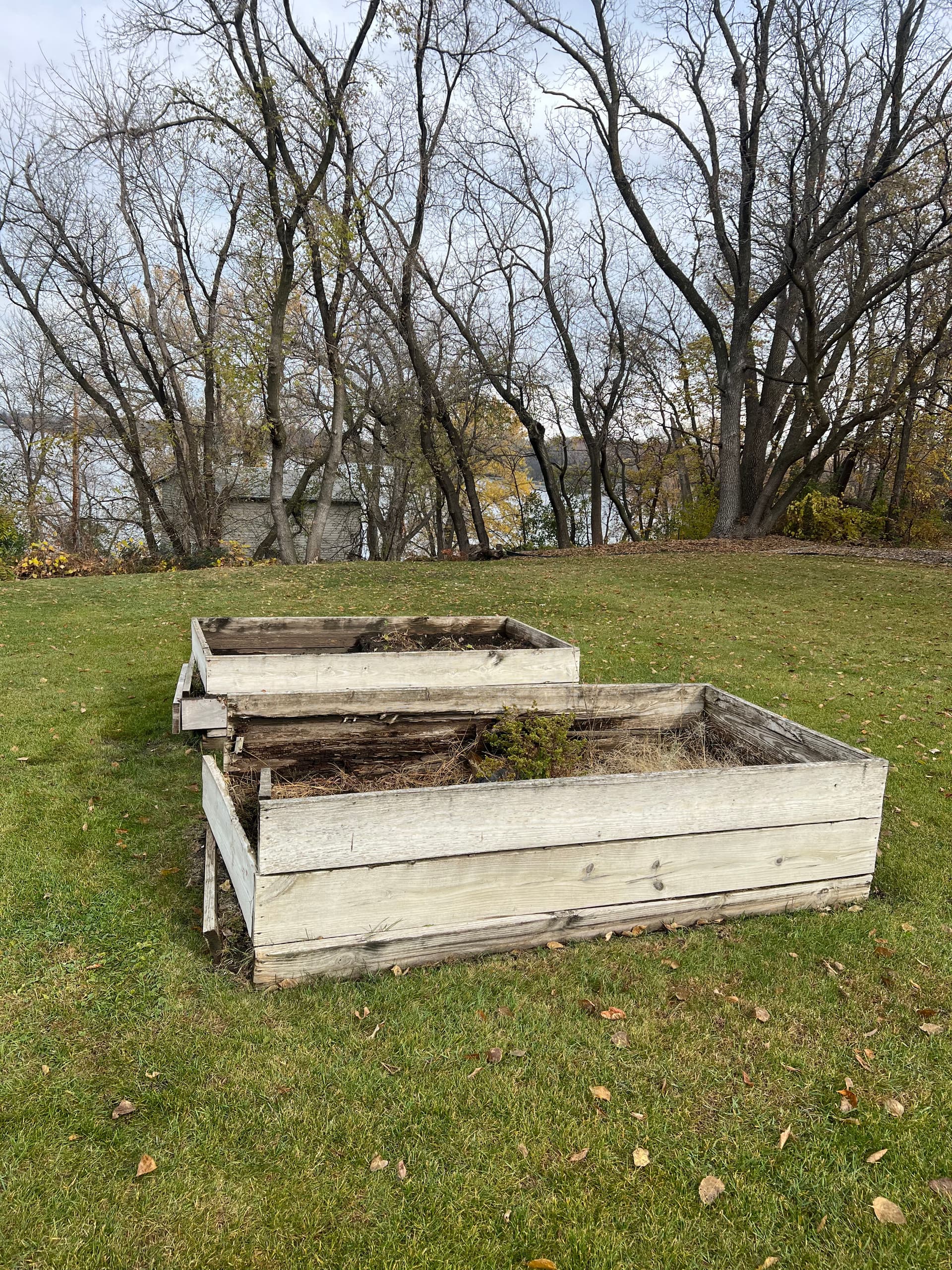 Planter Box Removal for a Cleaner Yard