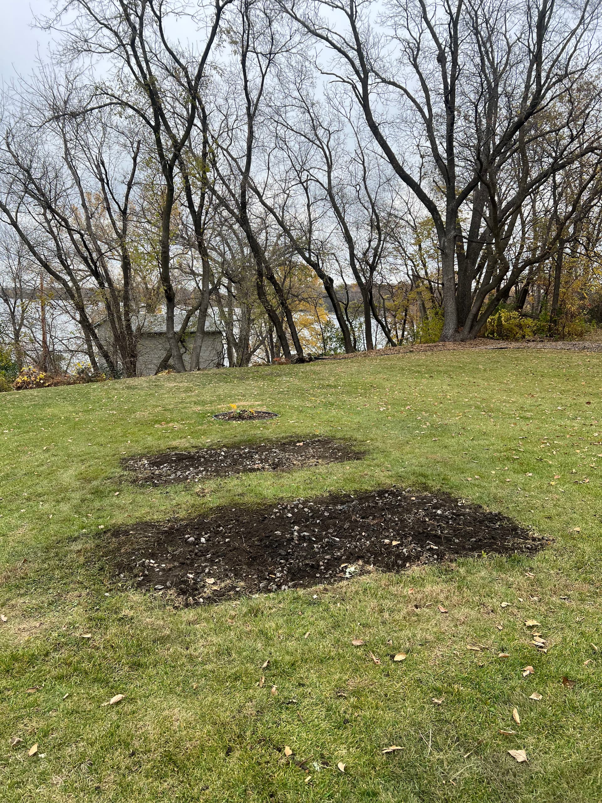Planter Box Removal for a Cleaner Yard